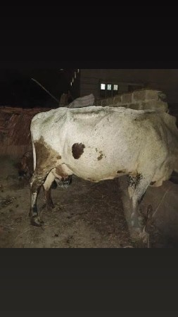 थंबनेल 3