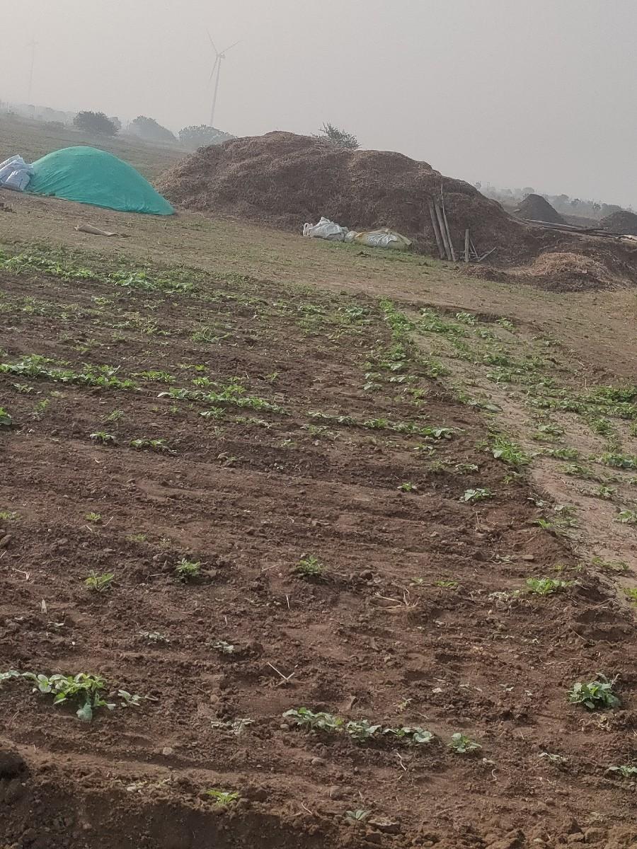 ભુકો વેચવાનો છે