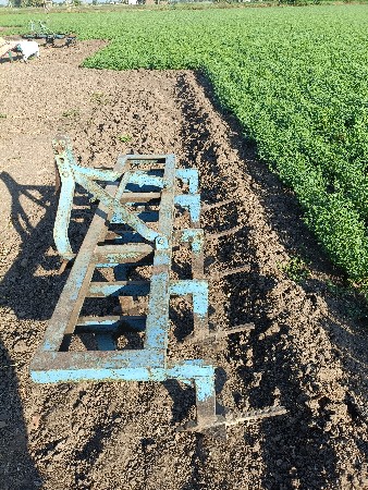 थंबनेल 2