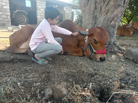 थंबनेल 2