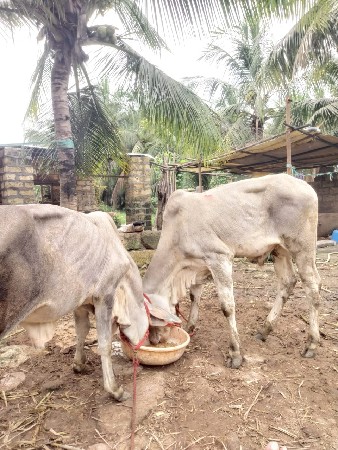 थंबनेल 2