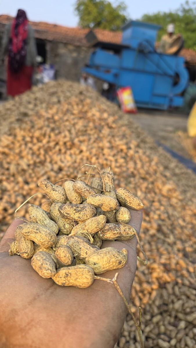 थंबनेल 3