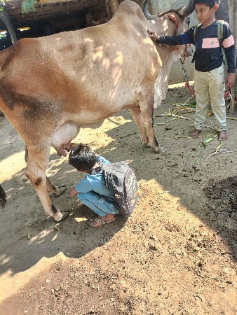 થંબનેલ 3