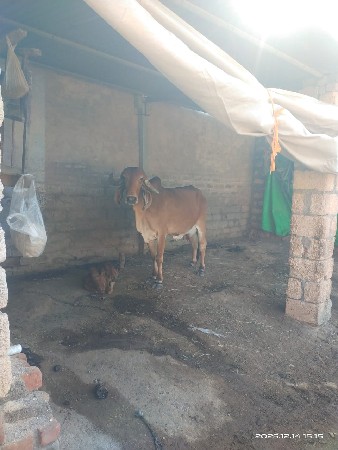 थंबनेल 2