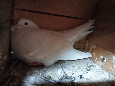 થંબનેલ 3