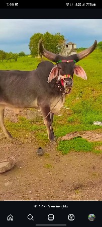 थंबनेल 2