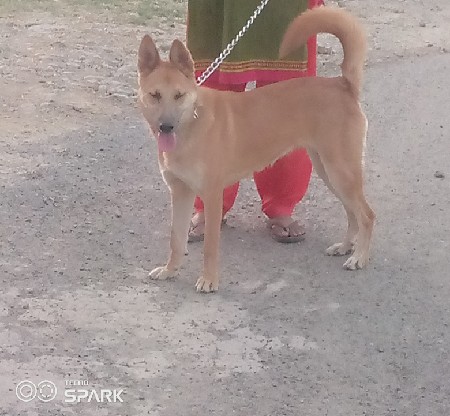 થંબનેલ 3