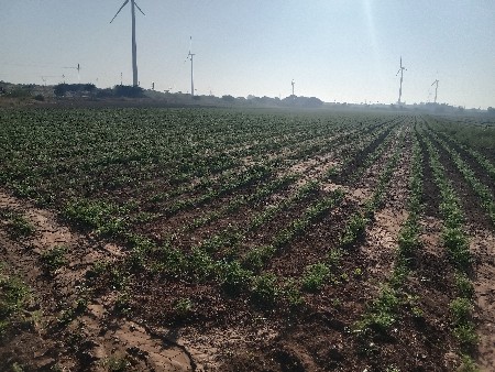 थंबनेल 3