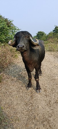 थंबनेल 2