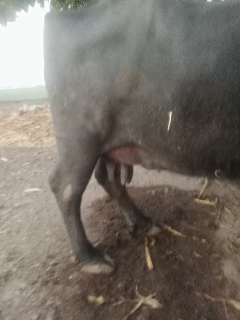 थंबनेल 2