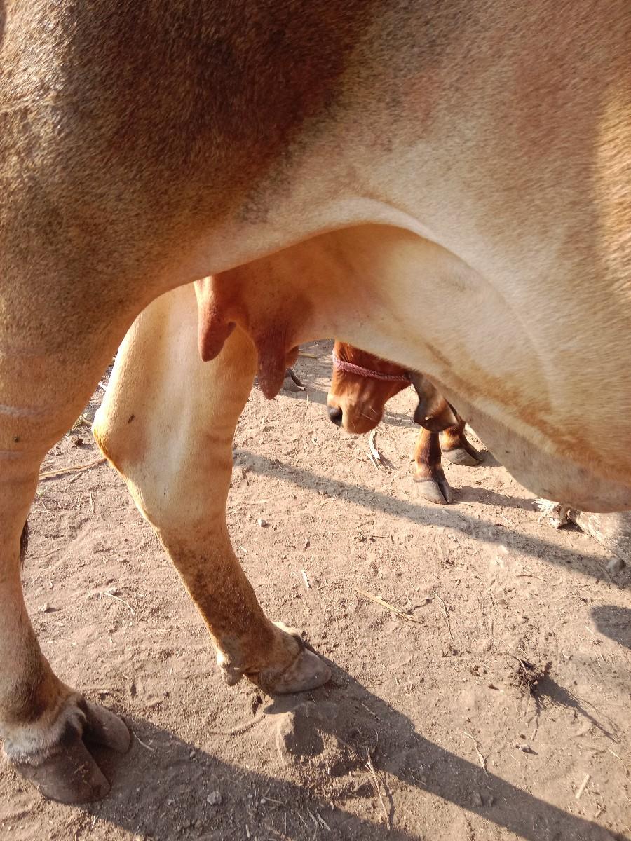 થંબનેલ 2