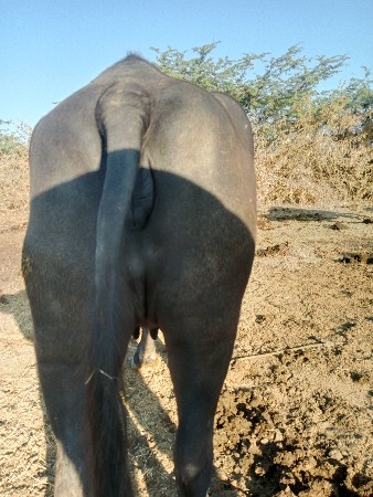 થંબનેલ 2