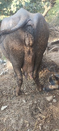 થંબનેલ 3