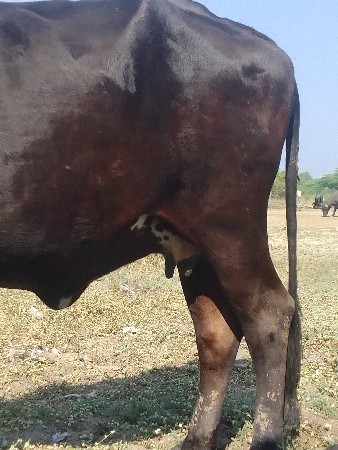 थंबनेल 2