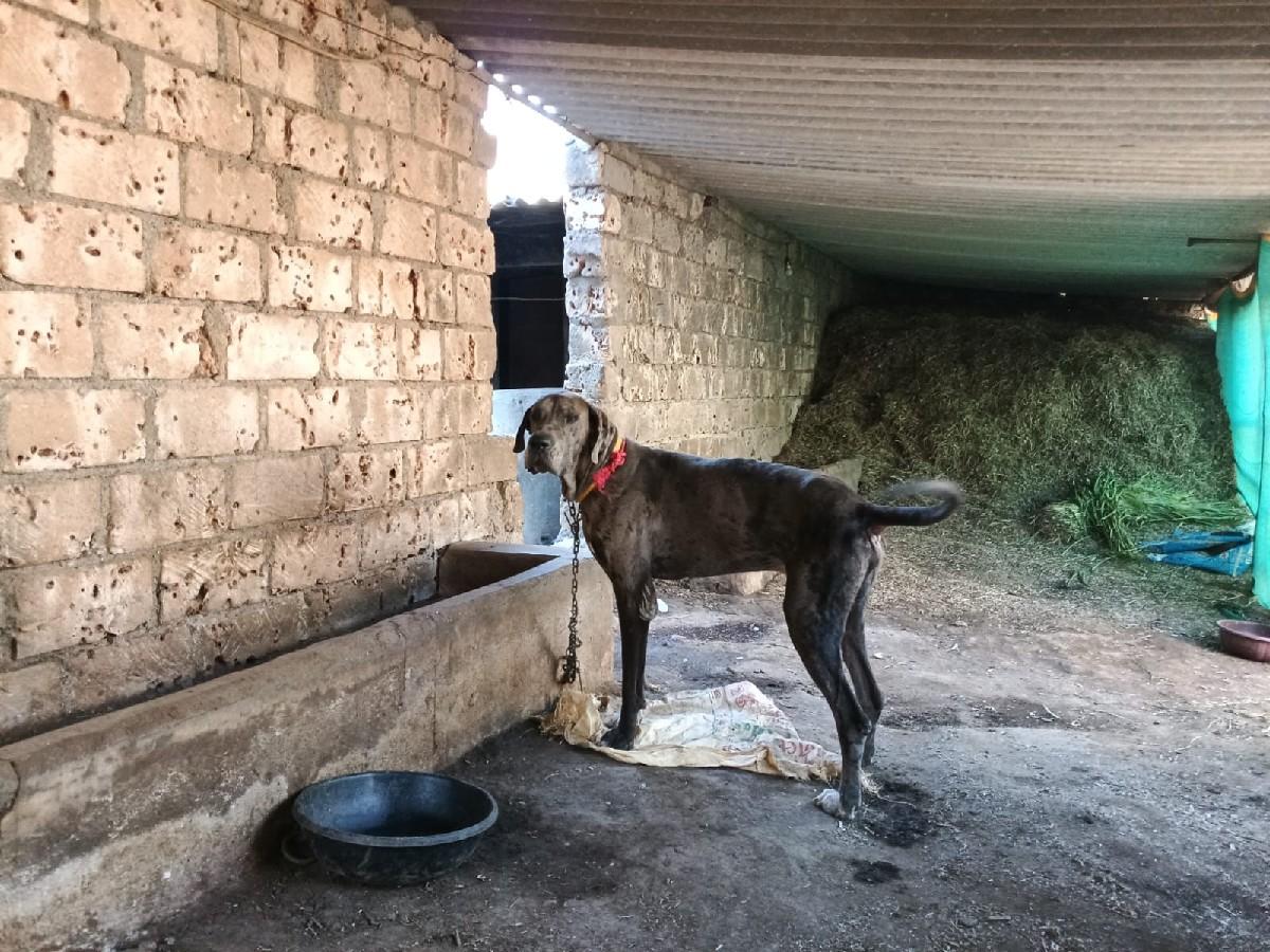 थंबनेल 2