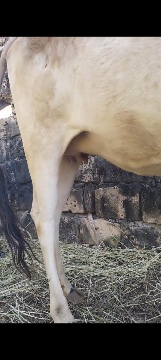 थंबनेल 2