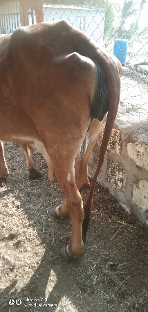 થંબનેલ 3