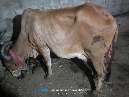 थंबनेल 2