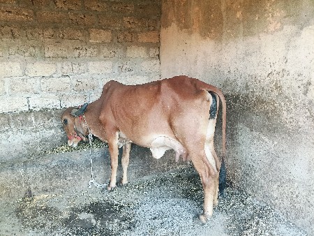 थंबनेल 3