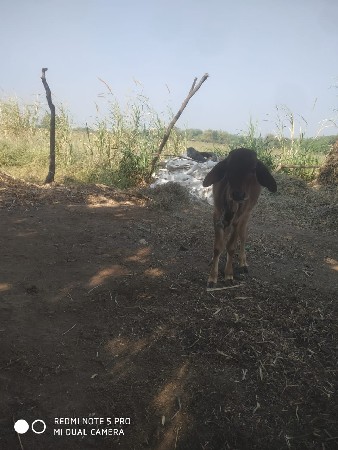 थंबनेल 3