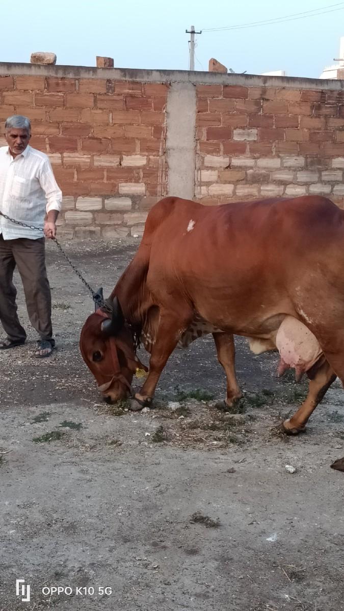 थंबनेल 2