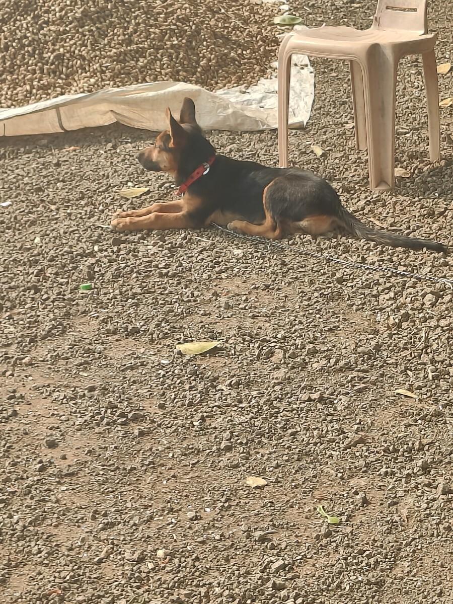 થંબનેલ 2