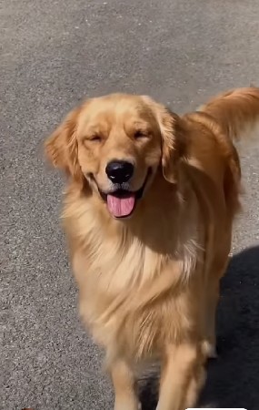 વેચવાના છે