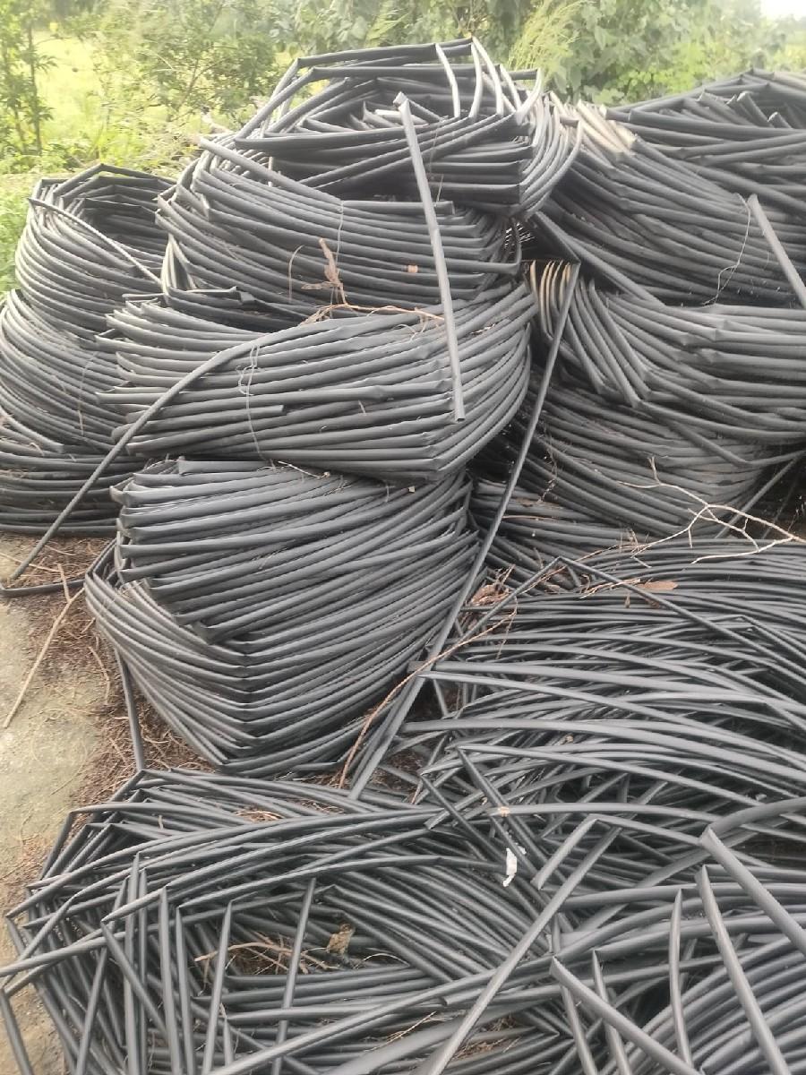 થંબનેલ 5