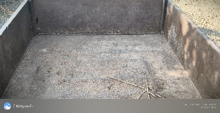 ટેલર વેસવાનું સે