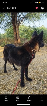 થંબનેલ 3