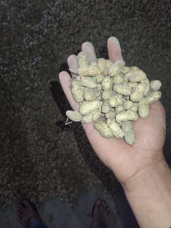 બી 20 નંબર