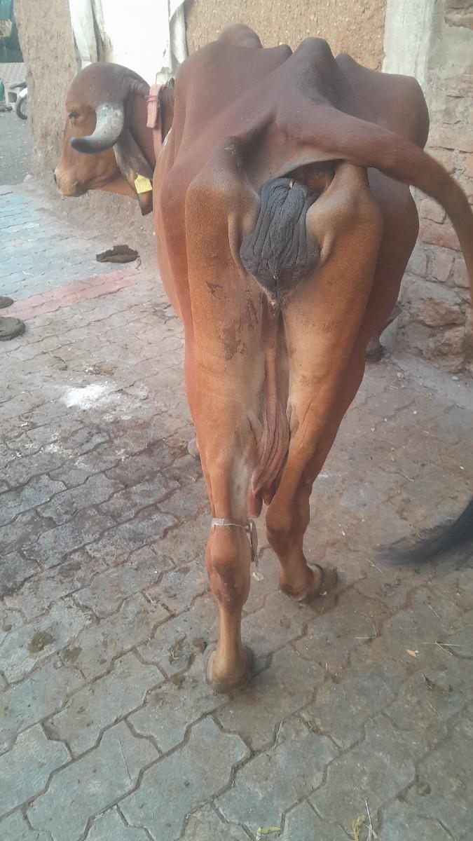 થંબનેલ 2