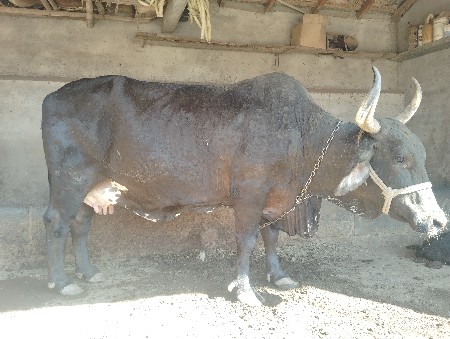 थंबनेल 2