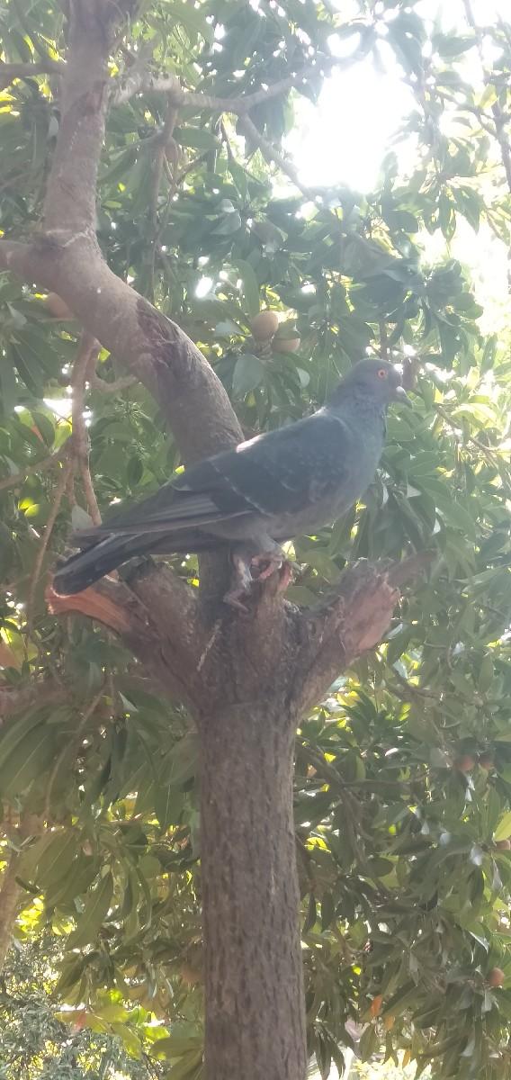 थंबनेल 3