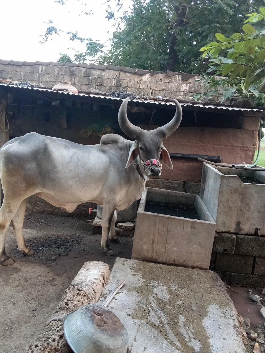 थंबनेल 2