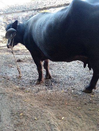 થંબનેલ 3