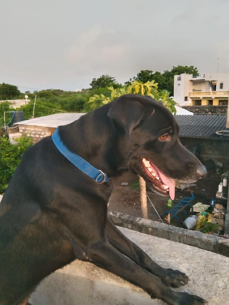 થંબનેલ 2