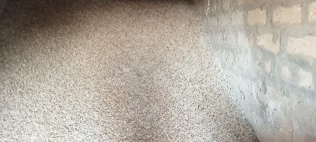 બિયારણ માંડવી