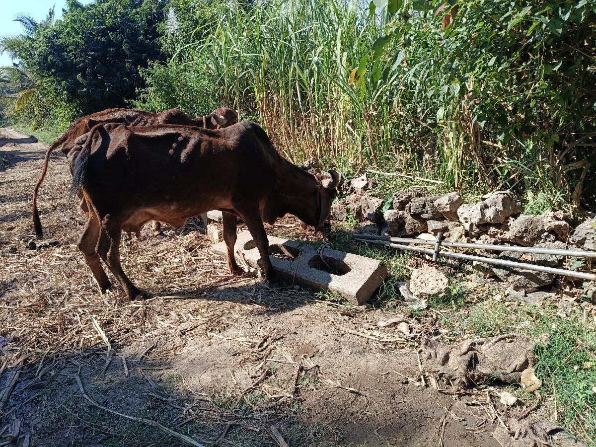 थंबनेल 2