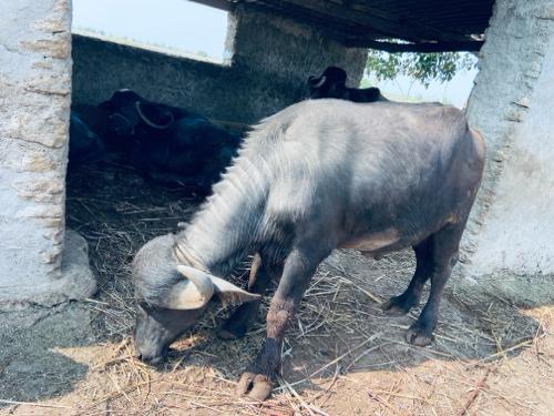 થંબનેલ 3