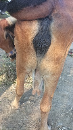 થંબનેલ 2