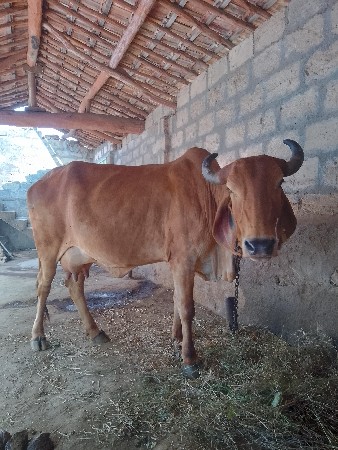 थंबनेल 3