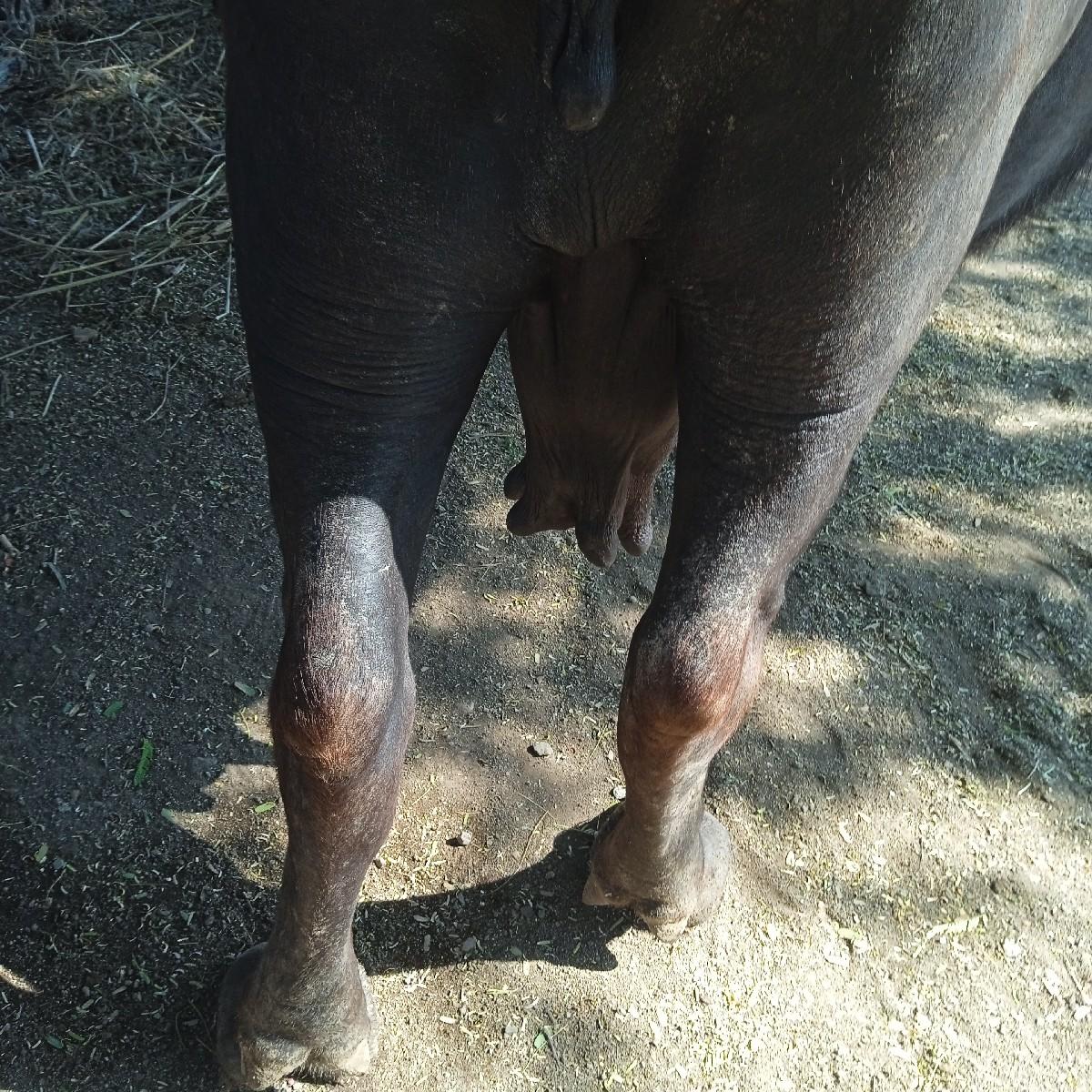 थंबनेल 2