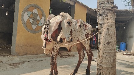 थंबनेल 2