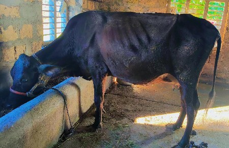 थंबनेल 3