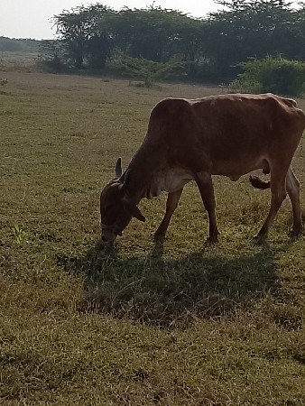 થંબનેલ 2