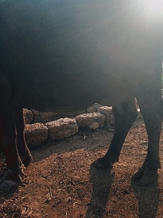 થંબનેલ 3