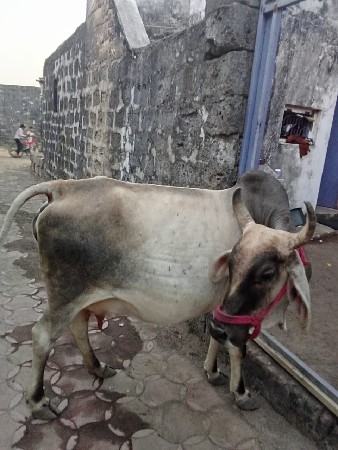 थंबनेल 3