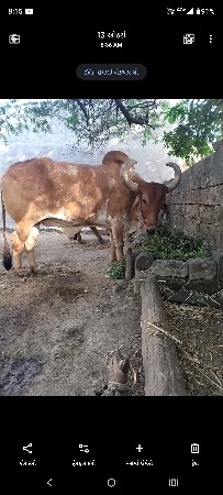 थंबनेल 3