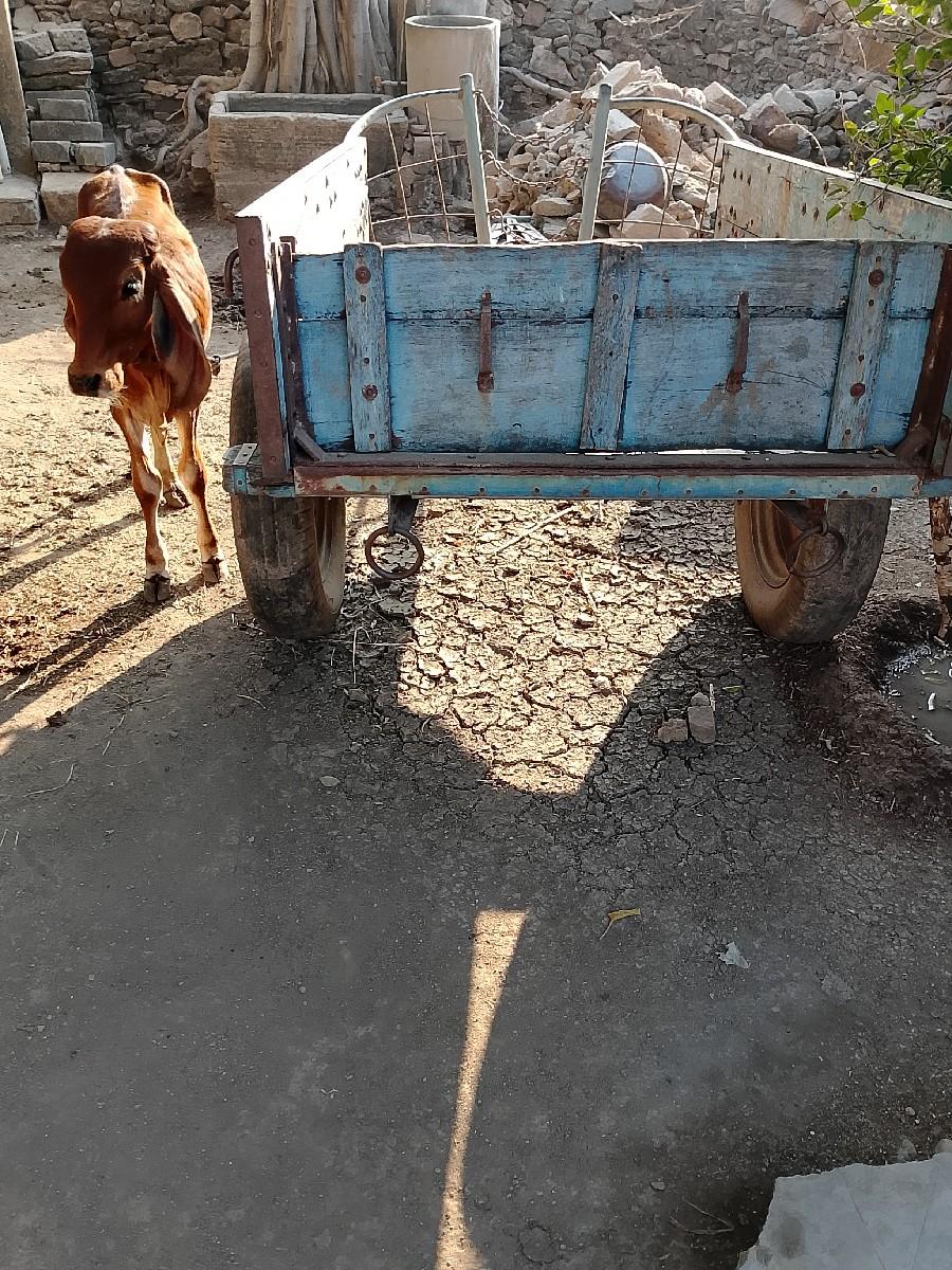 थंबनेल 2